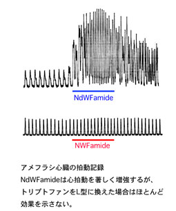 NdWFa-7.jpg